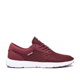 Mens Supra Low Top Shoes HAMMER RUN Andora/white | AU-93642